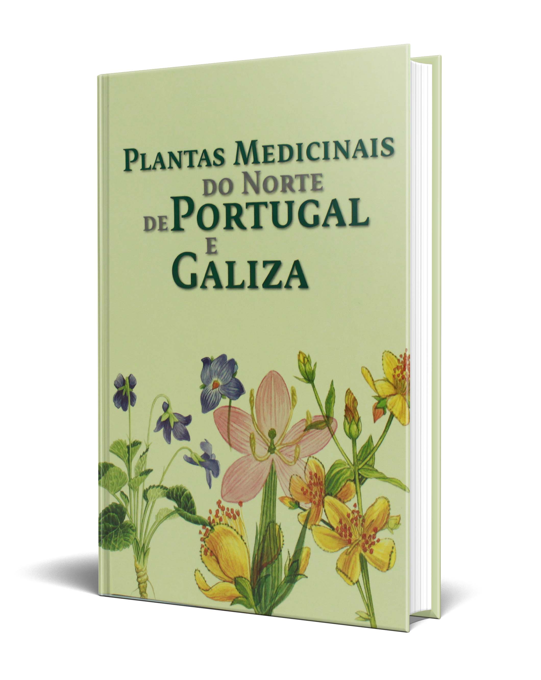 Medicina y Melodía: El encanto del norte de Portugal